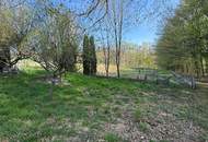 Naturidyll im SÜDBURGENLAND – Teichanlage mit großem Potenzial