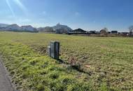 Großes Baugrundstück (ca. 1 ha) in Güssinger Ortsrandlage!