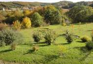 TOP GELEGENHEIT TRAUMHAUS IN RUHE UND AUSSICHTLAGE IM SÜDBURGENLAND!