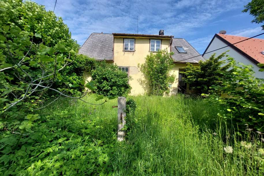 Herrliches Grundstück mit erhaltenswertem Gebäude am Badener Berg/ Mitterberg, perfekt für Individualisten, Haus-kauf, 750.000,€, 2500 Baden