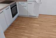 2-Zimmer-Gartenwohnung inkl Küche und Kellerabteil / HS17 Top B-12