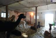 NEUER PREIS! AUSSERGEWÖHNLICHES JUWEL! Exklusiver Vierkanthof im Thermenland Steiermark – Wohnen, Reiten &amp; Leben mit Pool und Natur!