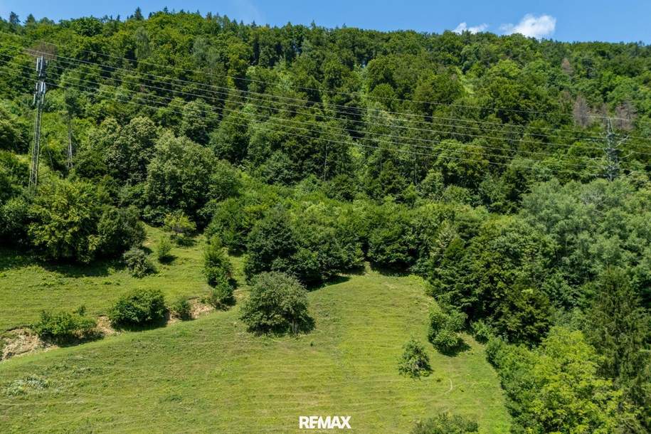 Großzügige Waldfläche nahe Thalersee, Grund und Boden-kauf, 63.000,€, 8051 Graz(Stadt)