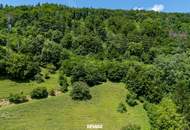 Großzügige Waldfläche nahe Thalersee