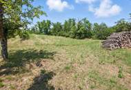 Traditioneller Weinkeller mit Presshaus und 2.421 m² Weingarten in Ebenthal – Ihr Rückzugsort im Weinviertel!