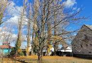 Preisreduktion! EINMALIGE LAGE AM NEUSIEDLERSEE