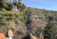 Jagdvilla aus 1910 - vollrenoviert - Top Ruhelage -10 Minuten zu Fuß in die Innenstadt von Baden