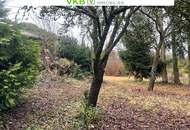 Großzügiges Grundstück in Spattenberg – Gemeinde Alberndorf in der Riedmark