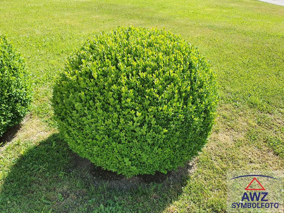 Vermiete ca. 70 m² Wohnung nähe der Gebietskrankenkasse Wels! Euro 690,-