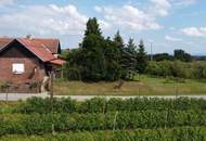 IN SLOWENIEN - Weingut in der berühmten Weinbauregion JERUZALEM