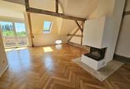 Familienjuwel mit XXL Terrasse in saniertem Stilhaus - für Verwöhnte und alle, die Besonderes lieben...