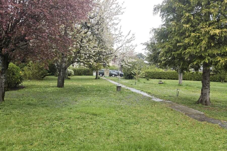 Bad Vöslau, parkähnlicher Grund mit kleinem Wohnhaus, Grund und Boden-kauf, 850.000,€, 2540 Baden