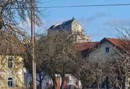 Gepflegtes Wohnhaus in Burg und Seenähe