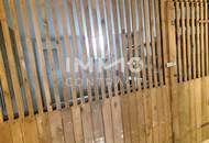 Sonnige Wohnung mit Balkon, Blick in den Garten, Ruhelage am grünen Hügel über der Stadt