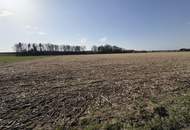 Ebener Acker nahe Ortszentrum Burgkirchen