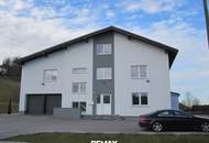 Büro Lager/Ausstellungsflächen