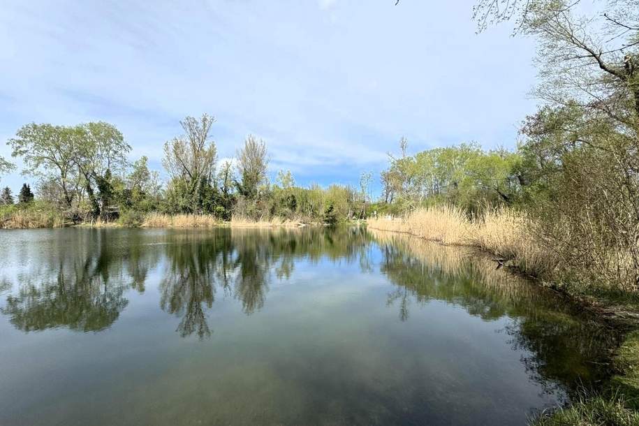 Für Naturliebhaber direkt am Mühlwasser und … Prov. frei f. Käufer // For nature lovers directly on the Mühlwasser and... Prov. free f. Buyer //, Haus-kauf, 1.299.900,€, 1220 Wien 22., Donaustadt