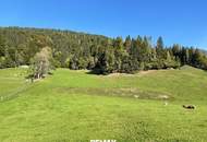 Wunderschönes Penthouse in sonniger und ruhiger Lage