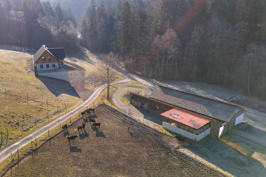 "Ihr Traumhaus mit dazugehöriger Landwirtschaft!", Gewerbeobjekt-kauf, 1.270.000,€, 8452 Leibnitz
