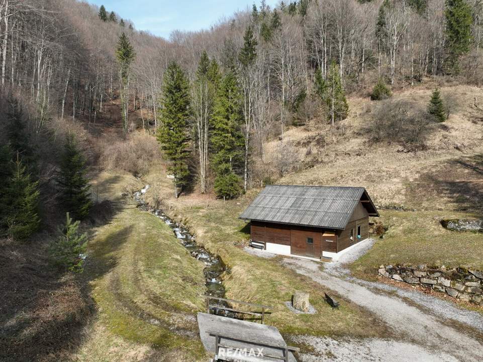 Ca. 16 ha Vielseitige Land- und Forstwirtschaftsflächen im Sackgraben – Gnadenberg