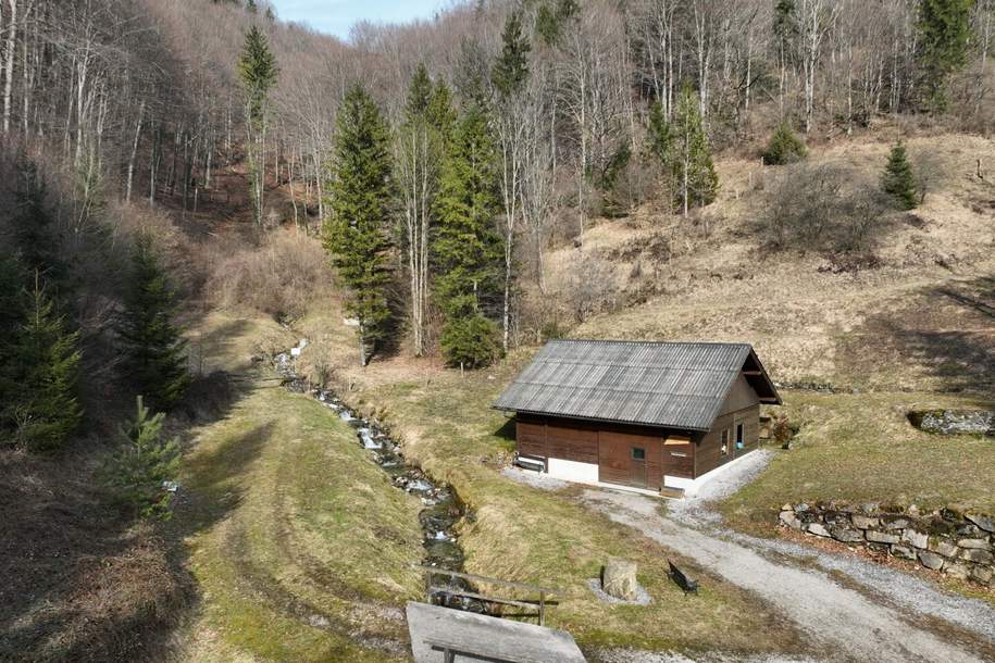 Ca. 16 ha Vielseitige Land- und Forstwirtschaftsflächen im Sackgraben – Gnadenberg, Gewerbeobjekt-kauf, 290.000,€, 3283 Scheibbs