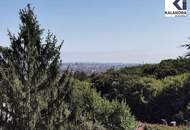 360 TOUR // GENERALSANIERTES EINFAMILIENHAUS IN DORNBACH MIT UNVERBAUBAREM WIEN- BLICK