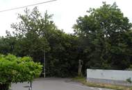Exklusives, möbliertes Terrassenapartment in den Wiener Weingärten mit *Indoor-Pool*