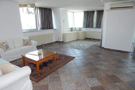 Blick zur Alten Donau vom 8.Liftstock - nähe U-Bahn und Donau Zentrum, Wohnung-miete, 2.100,00,€, 1220 Wien 22., Donaustadt