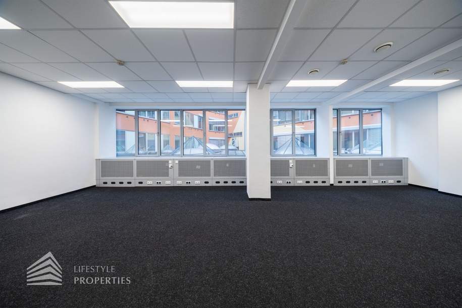 Modernes 6-Zimmer Büro mit Terrasse! Nähe Schwarzenbergplatz, Gewerbeobjekt-miete, 4.935,36,€, 1030 Wien 3., Landstraße