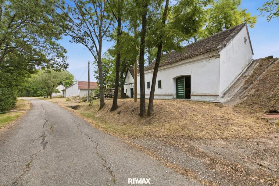 Charmantes Weinpresshaus mit Weinkeller in Minichhofen – Idyllische Grünruhelage im sonnigen Weinviertel, Gewerbeobjekt-kauf, 89.900,€, 3720 Hollabrunn