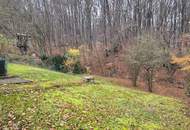 Provisionsfreier bestgelegener Baugrund am Stadtrand von Wien