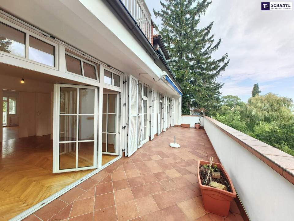 Großzügige Villenetage beim Pötzleinsdorfer Schlosspark ++ Terrasse mit Garten- und Stadtblick + Garagenplatz