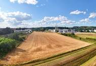 12 km vor Wien: Bundesstraße 14 bei Zeiselmauer – Strategische Entwicklungsfläche für Betriebsgebietswidmung