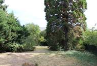 "Bauland mit Altbestand"