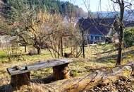 AN DER SONNENSEITE AM WALDRAND!