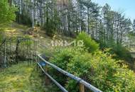 Naturparadies mit Panoramablick - Gepflegtes Einfamilienhaus mit großem Grundstück und Wintergarten