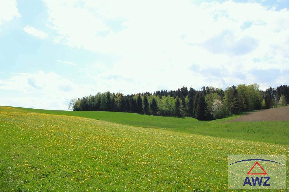 Schöner leistbarer Baugrund mit Grünland!