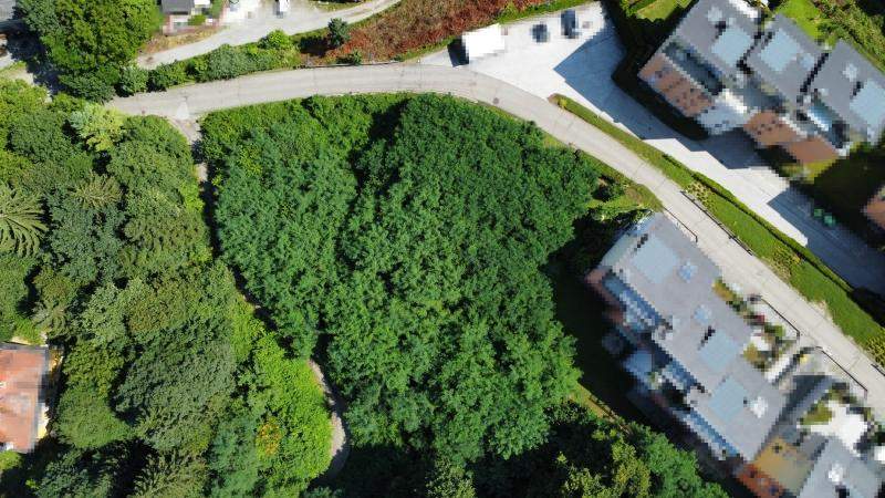 Perfekter Bauplatz in Viktring: Sonne, Ruhe und Bergblick inklusive