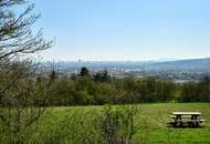 EDMUND - Wohnen in Strebersdorf! gut geschnittene und helle 3 Zi DG Wohnung mit großer Terrasse_Top 23