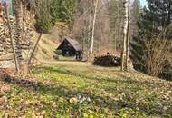 Zwei sanierungsbedürftige Häuser in absoluter Ruhe/Alleinlage