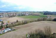 4,2 ha Ackerland in Straßham (nähe Alkoven) zu verkaufen!