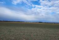 Landwirtschaftlicher Nutzgrund in Alkoven