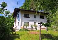 Einfamilienhaus in Südhanglage mit Garage und Garten - Losenstein/Ennstal
