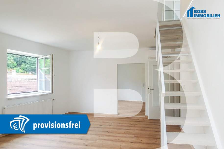 Donaublick | Maisonette Wohnung mit Fernblick, Wohnung-miete, 1.150,00,€, 4310 Perg