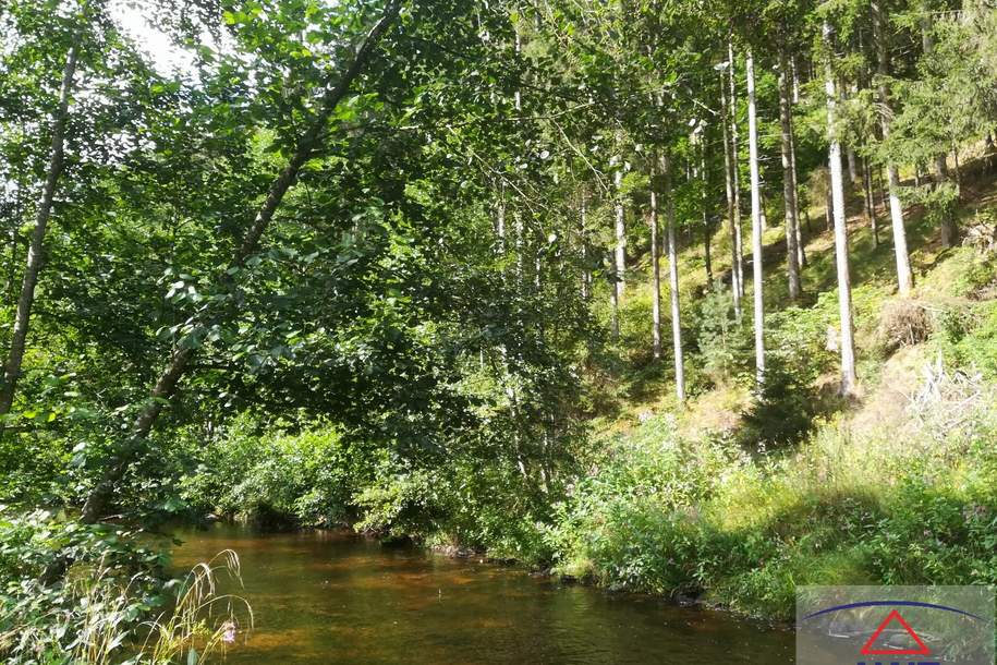 Ca. 8.5 ha Wald entlang der Waldaist !, Gewerbeobjekt-kauf, 4293 Freistadt