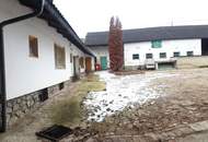 2014 Puch - Bauernhof für Wohnen und Gewerbe - 30 min von Wien !