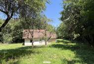NATUR PUR - Wohnhaus in außergewöhnlicher Lage und großem Grundstück!