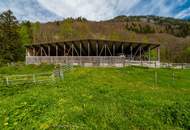 Dein Traum vom eigenen Pferdehof wird wahr! Moderne Reithalle in Dalaas zum Verkauf!