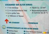 Einfamilienhaus an der Alten Donau, Eigengrund