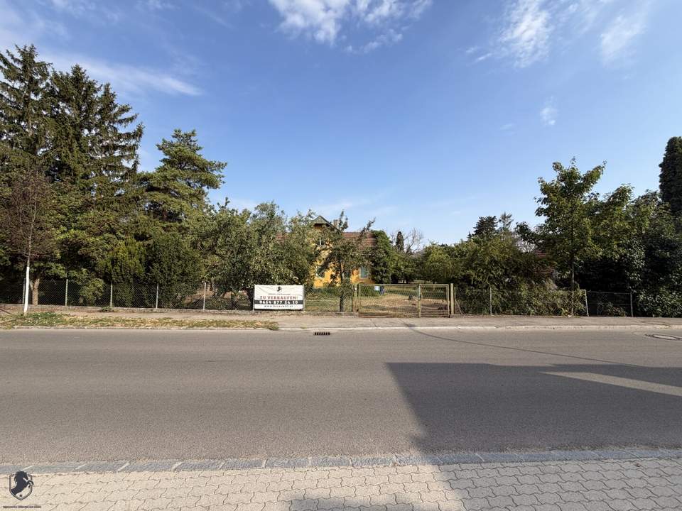 BAUGRUND IN BAUMGARTEN – 2 Baugrundstücke mit 631 m² & 633 m² | auch gemeinsam erwerbbar